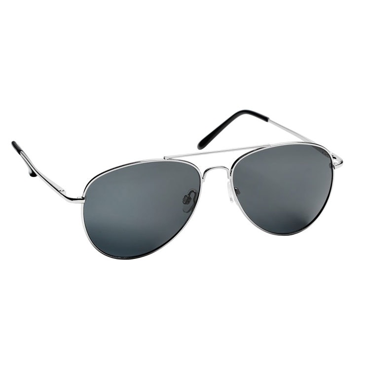 Haga Eyewear Toronto Polarized Silver