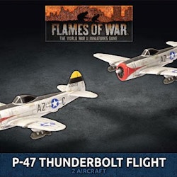 P-47 Thunderbolt Fighter Flight