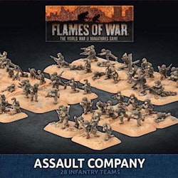 Assault Company