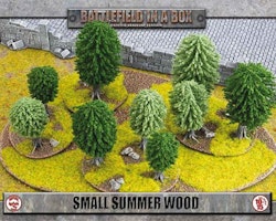Small Summer Wood