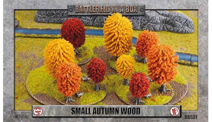 Small Autumn Wood