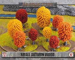 Small Autumn Wood