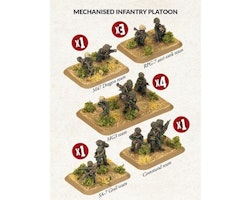 Mechanised Infantry Platoon