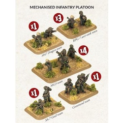 Mechanised Infantry Platoon
