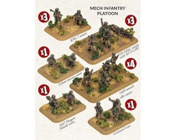 Mech Infantry Platoon