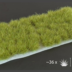Dry Green XL (12mm)