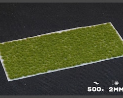 Tiny Dry Green (2mm)