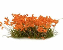 Orange Flowers