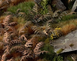 Dry Bracken