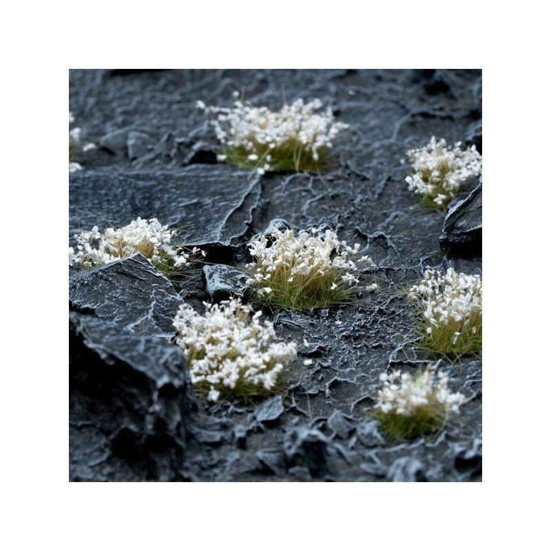 White Flowers