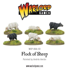 Flock of Sheep