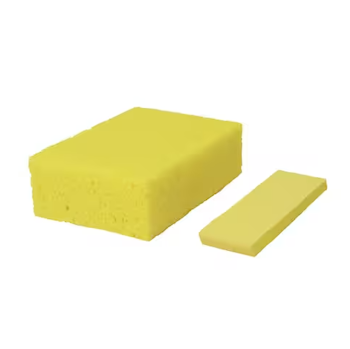 Basic Sponge