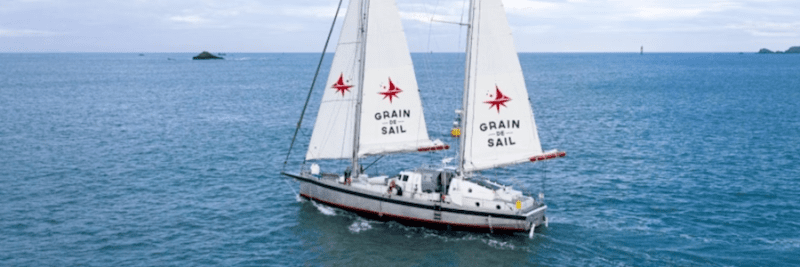 Wind Cargo: Maiden voyage return
