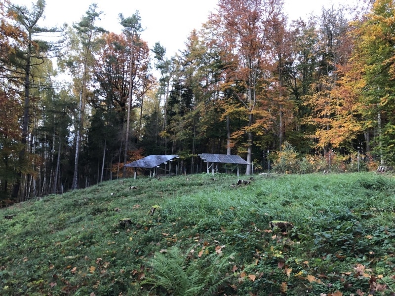 Forest well-water purification project