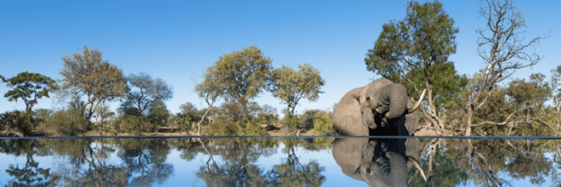 Safari Accommodation: 3 phase from the Sun