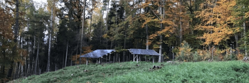 Forest well-water purification project