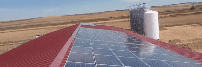 The sun – a Poultry farmer’s friend and foe