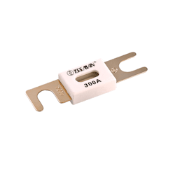 Victron Energy - Säkring ANL 500A, 80V