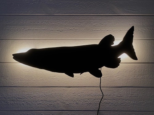Wall light Fish - Pike playing