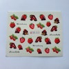 Waterstickers Fruits