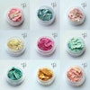 Sea Shell collection 12 pcs