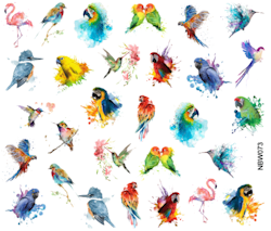 Waterstickers Colorfull Birds