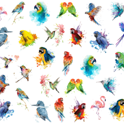 Waterstickers Colorfull Birds