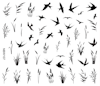 Watersticker Reef & Swallows