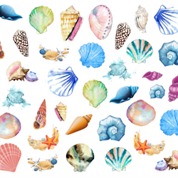Watersticker Seashells