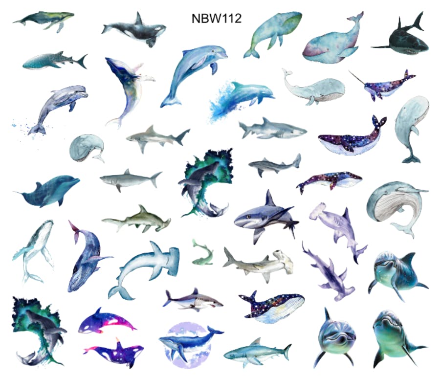 Watersticker Whales & Sharks