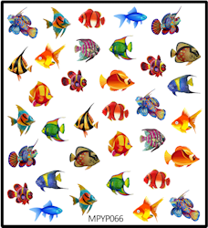 Stickers Tropical Fish