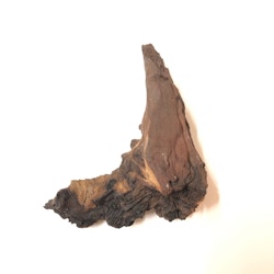 Mopani rot, L