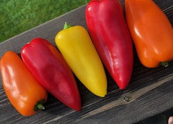 Snackpaprika