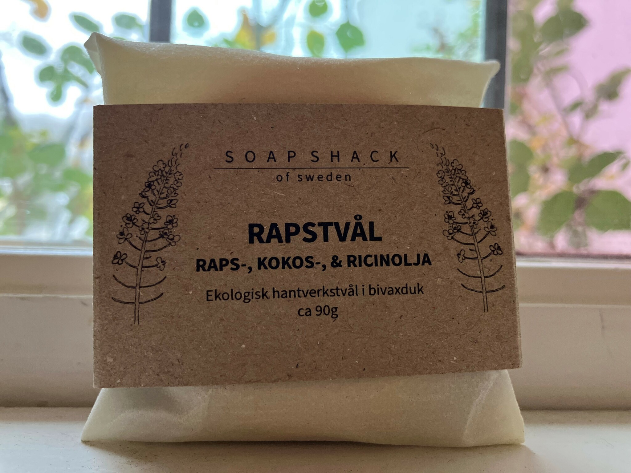 RAPSTVÅL Hand & Body Soap