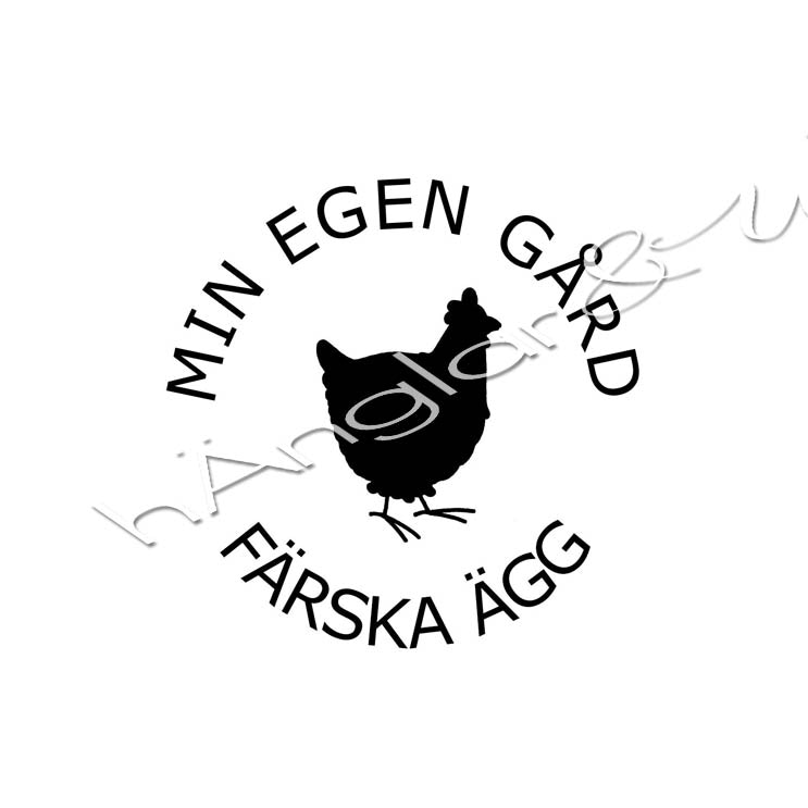 PERSONLIG - 276  Färska ägg höna