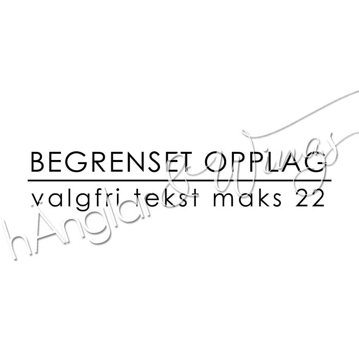 PERSONLIG - 292   Begrenset opplag (NORSK)