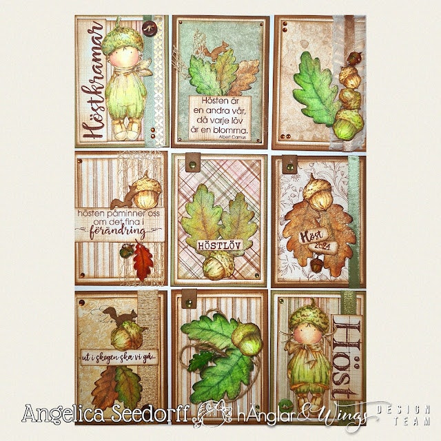 Clear Stamps - Ekollon