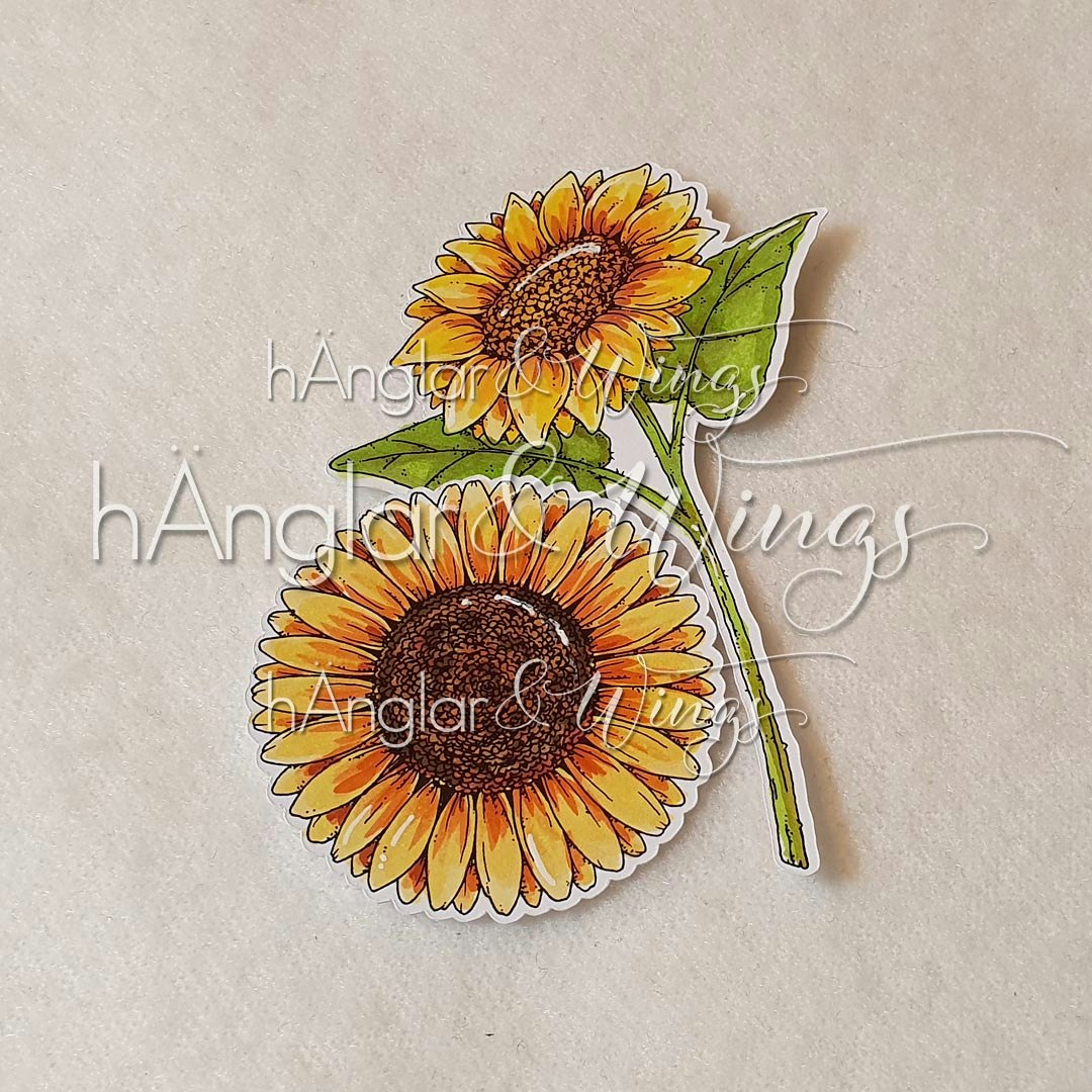 Clear Stamps - Solorosor / Solo Sunflowers A7