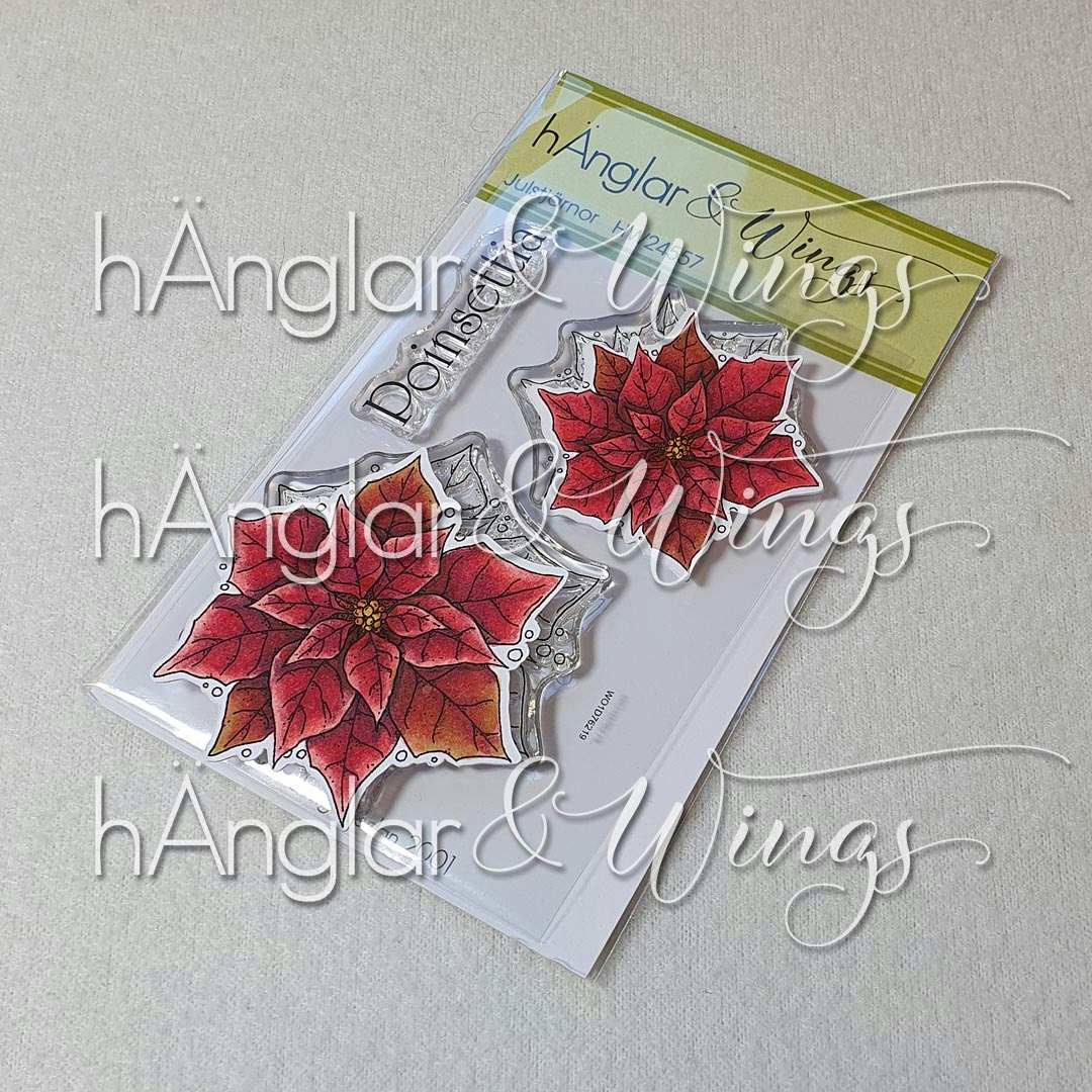 Clear Stamps - Julstjärnor /  Poinsettias A7