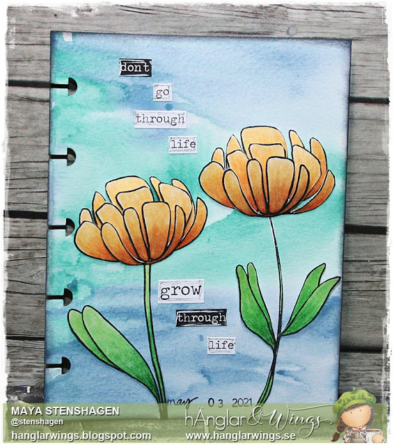 Clear Stamps - Grafiska Blommor / Graphic Flowers