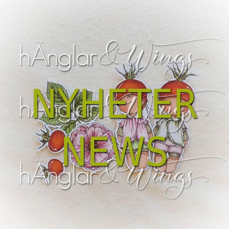 hÄnglar & Wings AB