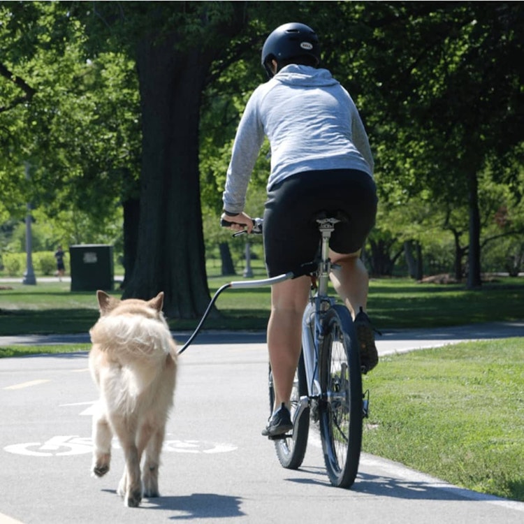 Universellt hundkoppel för cykel  85 cm