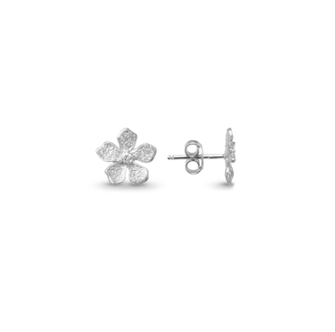 Catwalk Exclusive - Örhängen Stardust Flower Rhodinerat Silver