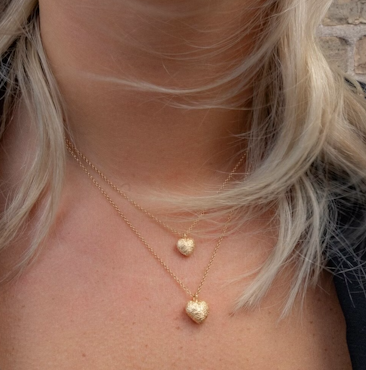 Catwalk Exclusive - Halsband Stardust Heart Förgyllt Silver