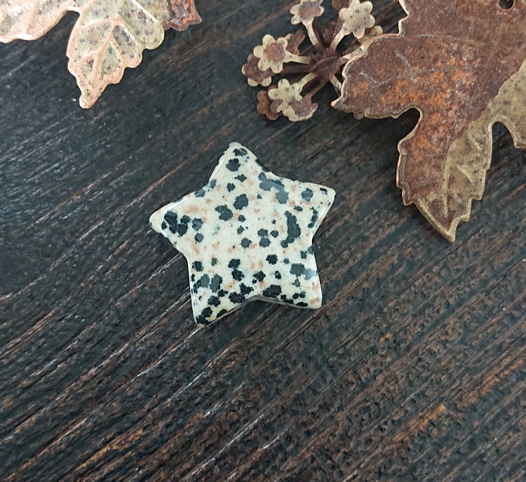 Stjärna av Dalmatiner Jaspis