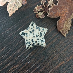 Stjärna av Dalmatiner Jaspis