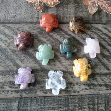 Vattensköldpaddor av olika kristaller 2.5 cm