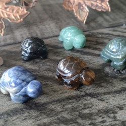 Landsköldpaddor av olika kristaller