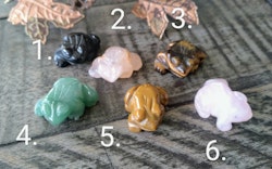 Grodor av olika kristaller
