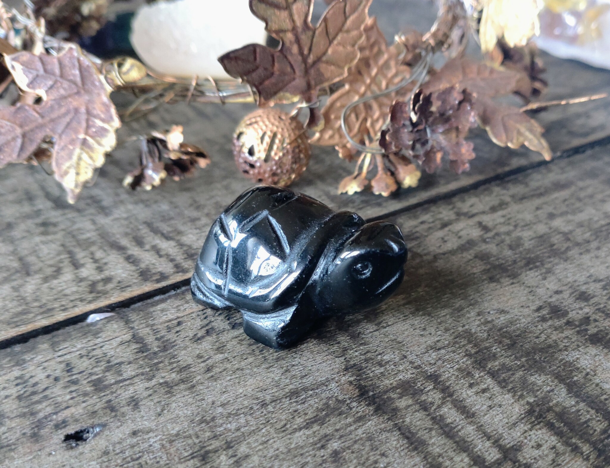 Sköldpadda av Obsidian